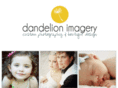 dandelionimagery.com