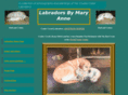 labradorretrievers.com