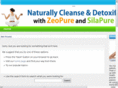 liquidzeolitetoday.com