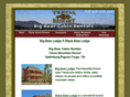 pigeonforgebigbearcabins.com