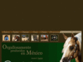ranchoelfortin.com