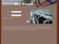 beltwizard.com