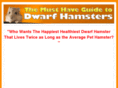 bestdwarfhamsterguide.com