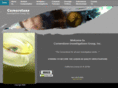 cornerstoneigi.com