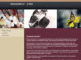 dragonflyeyes.com