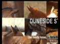 dunesidestud.com