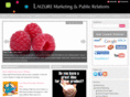 laizuremarketing.com