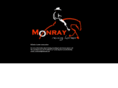 monrayreininghorses.com