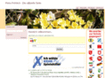 petra-froehlich.com