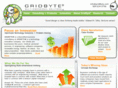 gridbyte.com