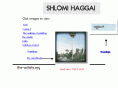 shlomihaggai.com
