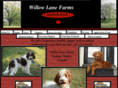 willowlanefarms.com