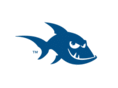 bluefishconsulting.net