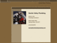 bonitavalleyplumbing.com