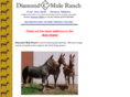 diamondcmules.com