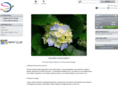 thephotodirect.com
