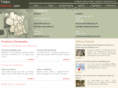 valenciatoldos.com