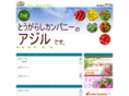 agile-ltd.jp
