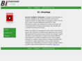 biadvantage.com