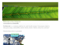 ecosoln.com