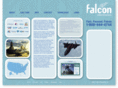 falconelec.com