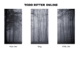 toddritteronline.com