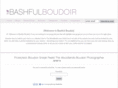 bashfulboudoir.com