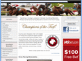 championsoftheturf.com.au