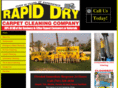 rapiddryinc.com