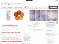 synsolution.com