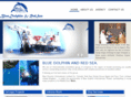 bluedolphinint.com