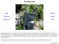 docbug.com