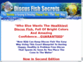 bestdiscusfishsecrets.info