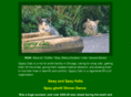 gypsycats.org