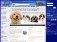 akcdogevents.org