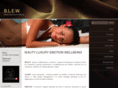 blewgroup.com