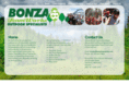 bonzateamworks.com