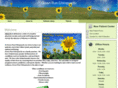 greenrunchiropractic.com