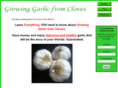 growing-garlic-from-cloves.com