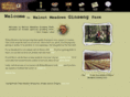 wmginseng.com