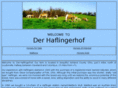 derhaflingerhof.com