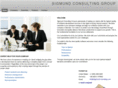 dev-consult.net