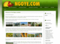 ngoye.com