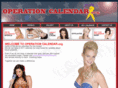 operationcalendar.com