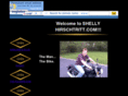 shellyhirschtritt.com