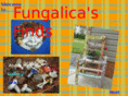 fungalicasfinds.com