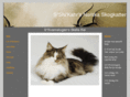 norskskogkatt.net