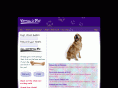 virtualdog.com