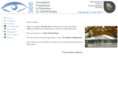 congreseyesee.com