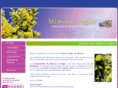 mimosa-augier.com